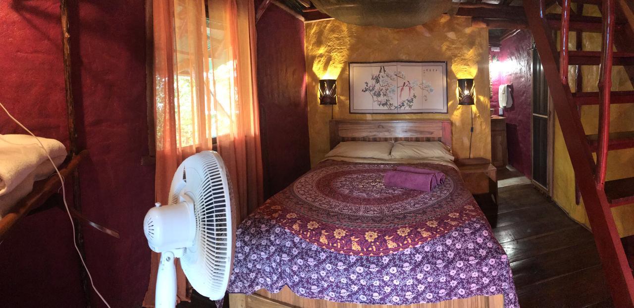 Free Spirit Oasis Hotell Bocas del Toro Eksteriør bilde