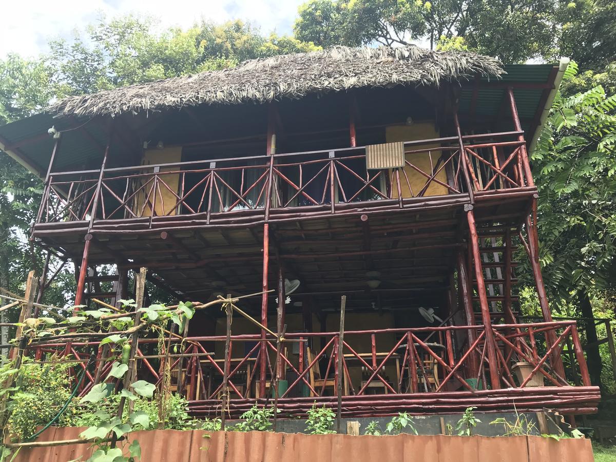 Free Spirit Oasis Hotell Bocas del Toro Eksteriør bilde